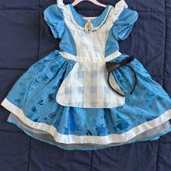Alice Halloween Costume 5/6