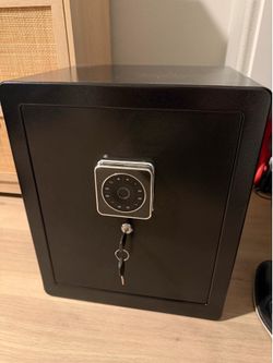 Small Gun/Home Safe