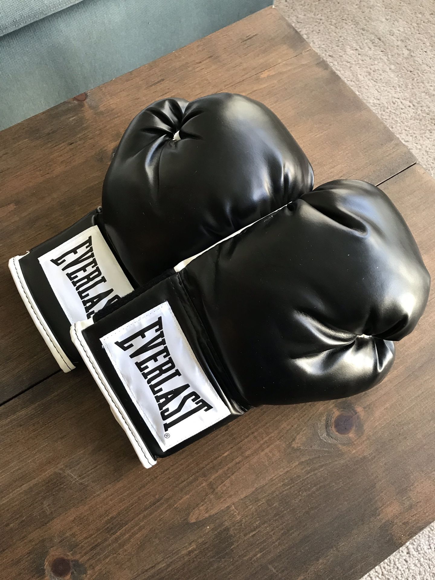 Everlast Boxing Gloves