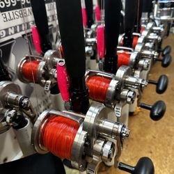 Diawa Saltiga LD50 HS (10) Reels