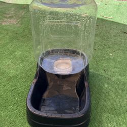 Water bowl