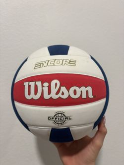 Wilson Volleyball