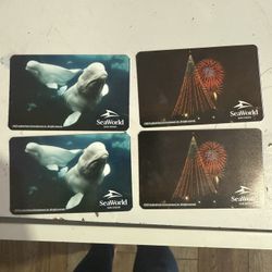 Sea World Tickets 4