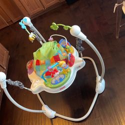Fisher Price  Baby Bouncer