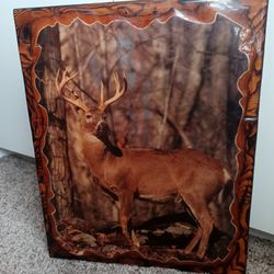 Deer Picture (Of A Buck)