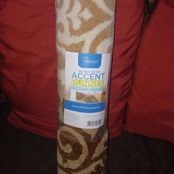 NEW ACCENT RUNNER 20" X 58" FOR $15