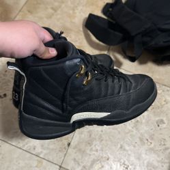 Air Jordan 12 Master