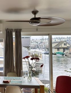 Wind River ceiling fan with lamp