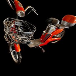 HG1000 IZIP  Electric Bike 