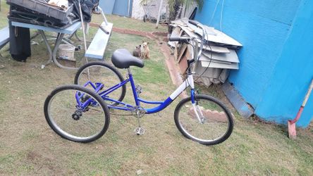 Blue Adult 3 Wheel- Cruiser Tricycle