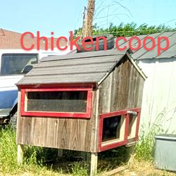 Chicken Coupe/ Hutch
