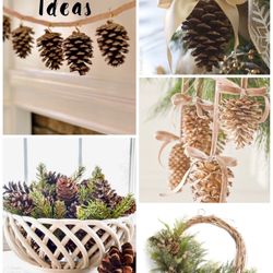Pinecones Woodland Decorative Wedding Winter Christmas Decor Decorations