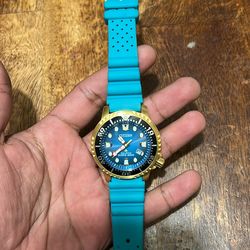 Citizen Promaster Dive Eco-Drive Watch