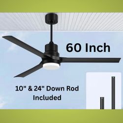 Indoor/Outdoor, 60 Inch Ceiling Fan with Light and Remote