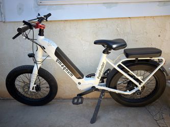 Ebike