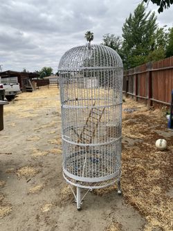 Bird Cage