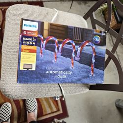 Candy Cane Lawn Lights