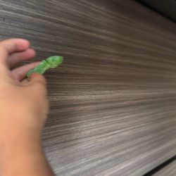 One Long Sour Patch And One Fat Sour Patch Extremely Rare