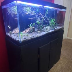 75 Gallon Aquarium And Stand