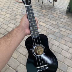 Audster Guitar 