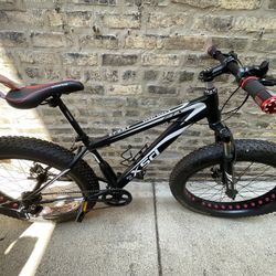 Fat Tire Bike