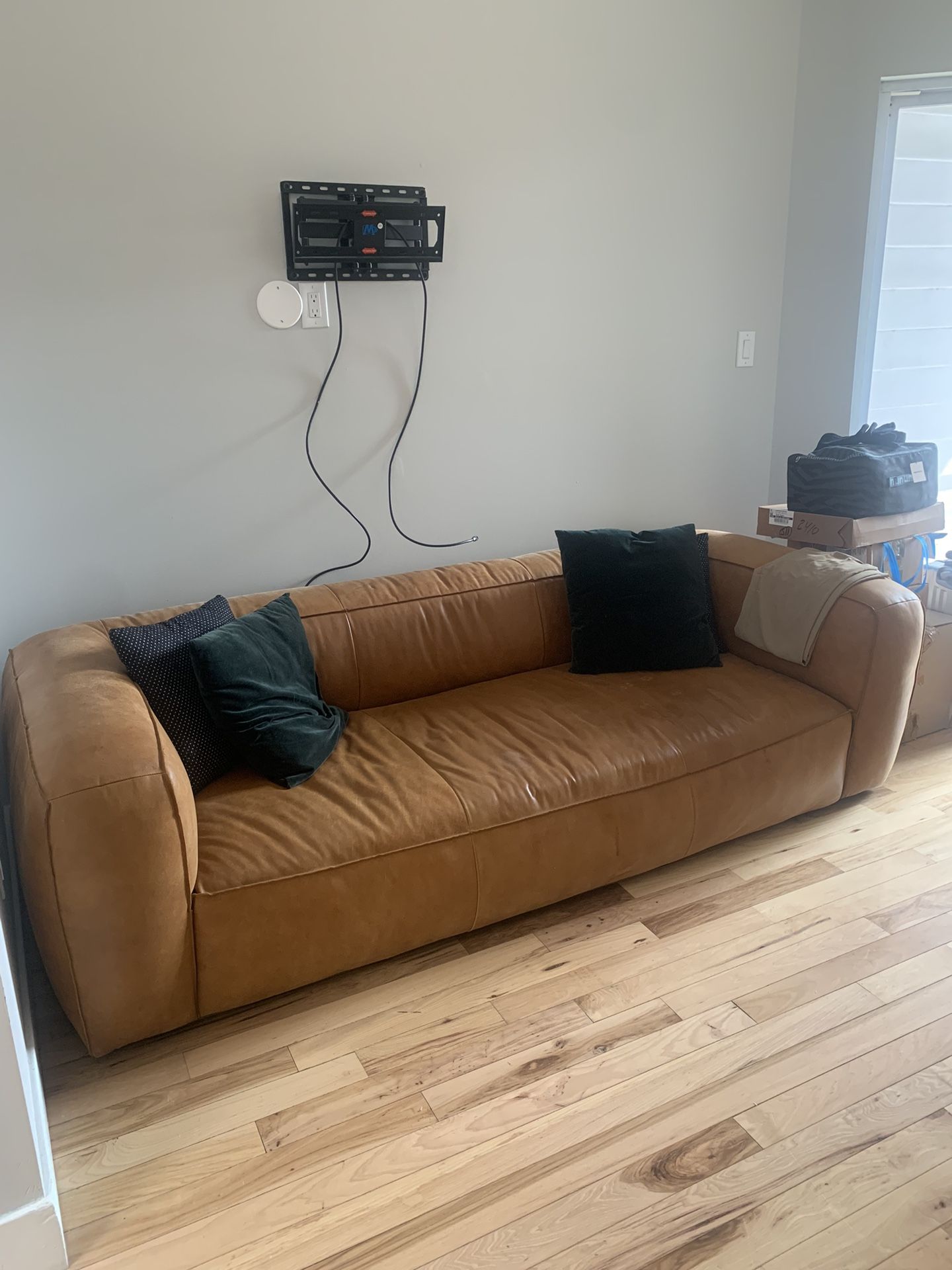 Article Cigar Rawhide Tan Leather Sofa