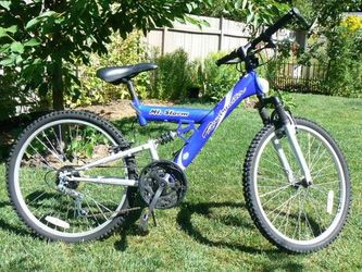 Mt storm cheap roadmaster bike
