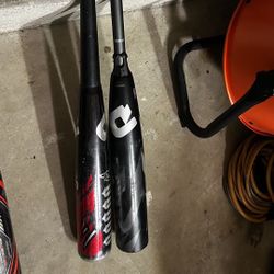 Demarini Bundle Pack