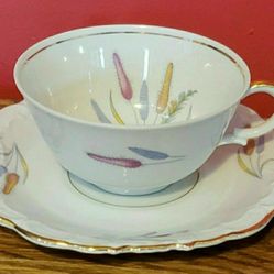 Very Nice Fine China TEACUP & SAUCER! 