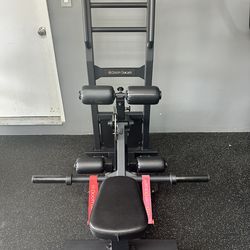 Boody Builder- Stand Up Hip Thruster