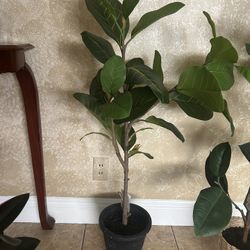 Artificial Plant