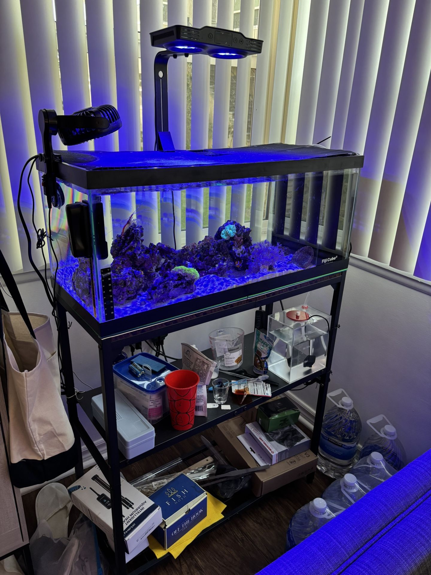 20 Gal Salt Water Aquarium
