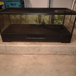  Reptile Terrarium