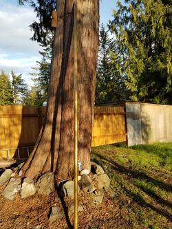 12 foot 2 inch brass Pole