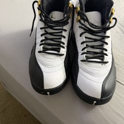 Air Jordan 12 Size 8.5