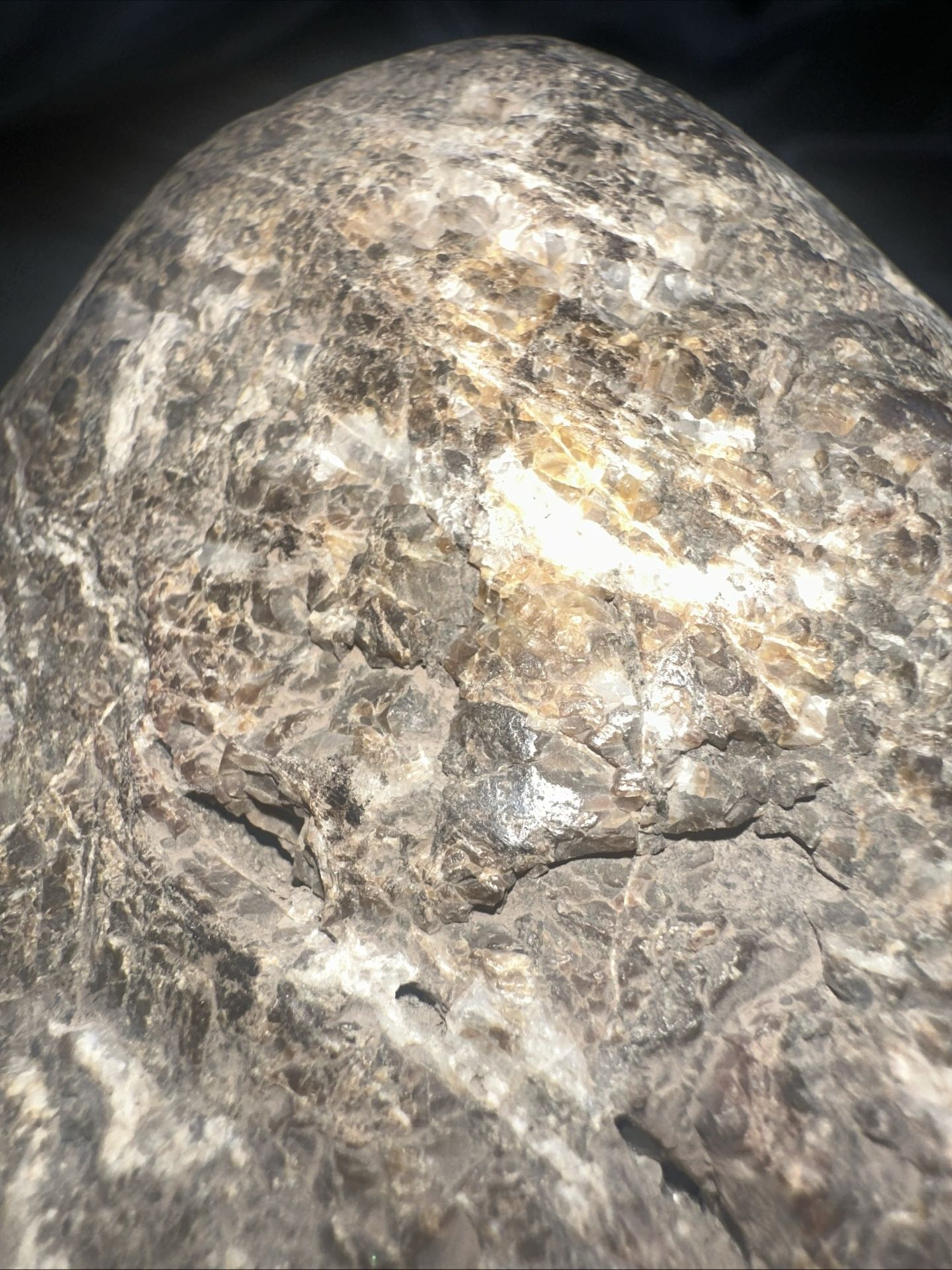 Lunar Meteorite