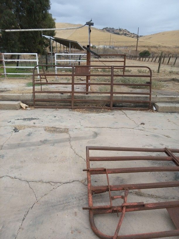 Cattle Gates For Sale
