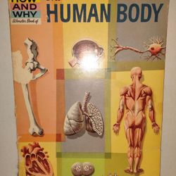The How and Why Wonder Book of the Human Body 1961 Vintage Edition