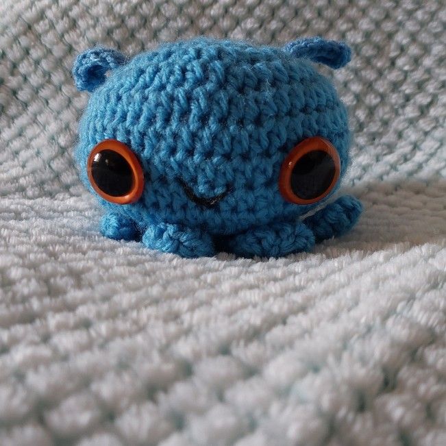 Flapjack Octopus