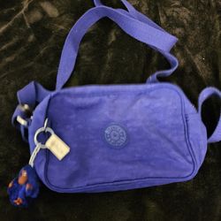Small Kipling Crossbody Purse 