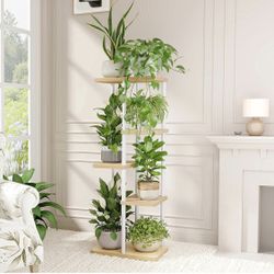corner stand for multiple plants
