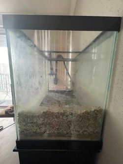55 Gallon Fish Tank w/ Fluval FX4 Filter