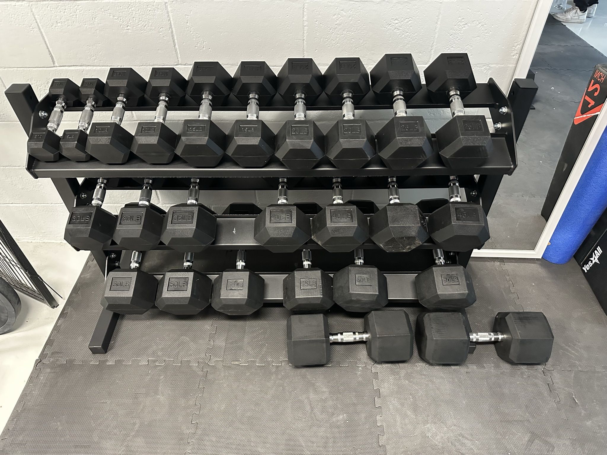 5-75lbs Dumbbells w/Rack