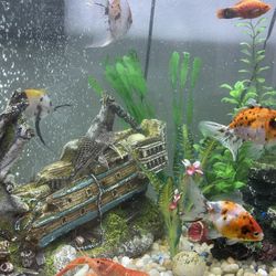 Fish tank 30 Gallons,  With 110 Gallons Filter (aquaclear) Decorations Not Included**