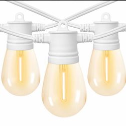 48FT White Outdoor String Lights