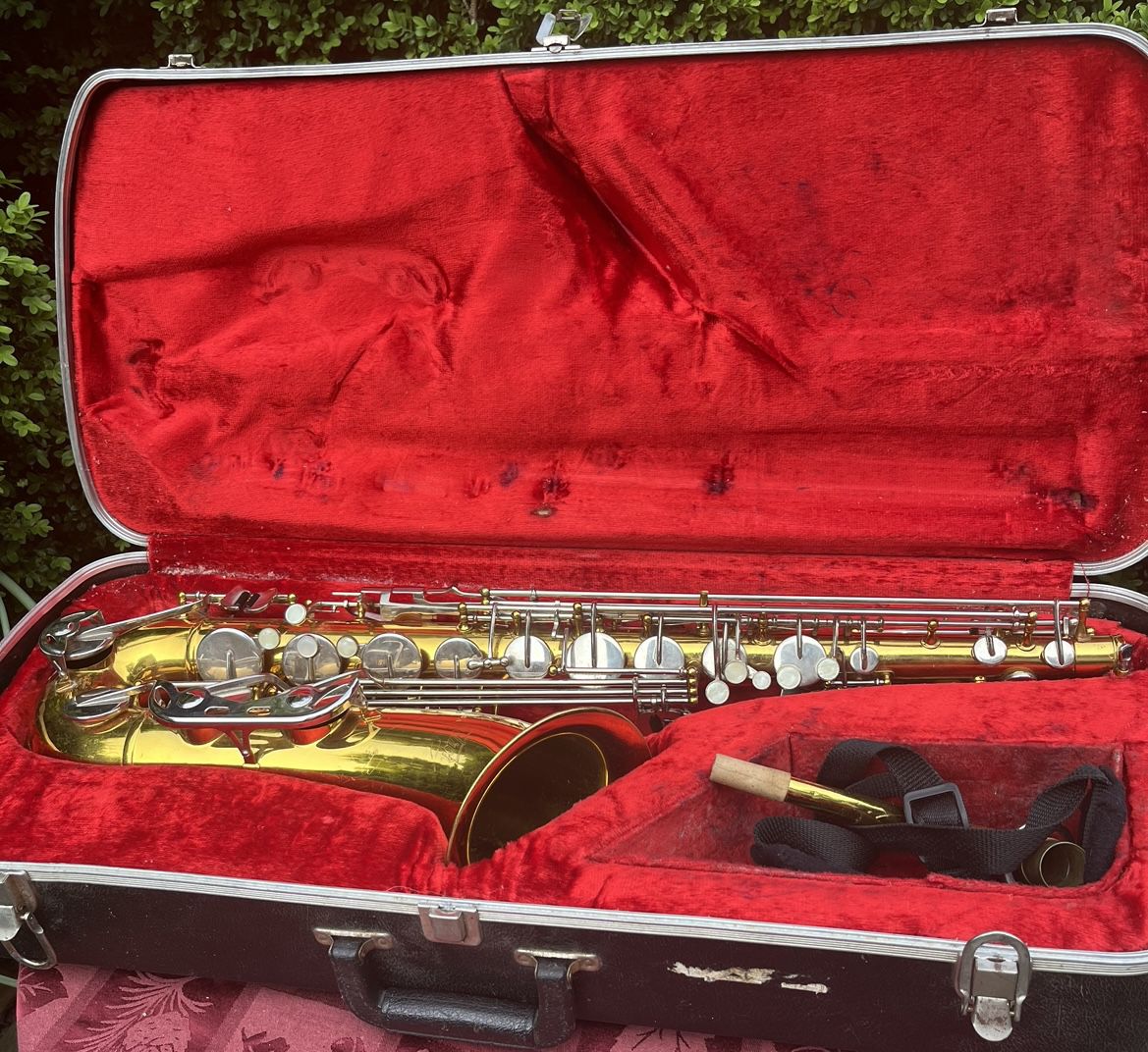 musical instrument brass saxophon