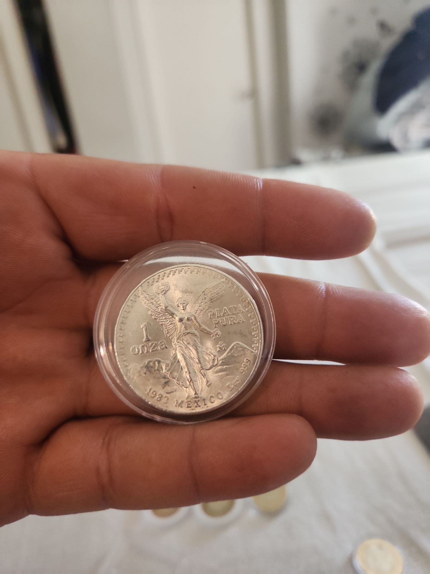 Libertad 1983