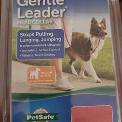 New In Box Gentle Leader For Dog