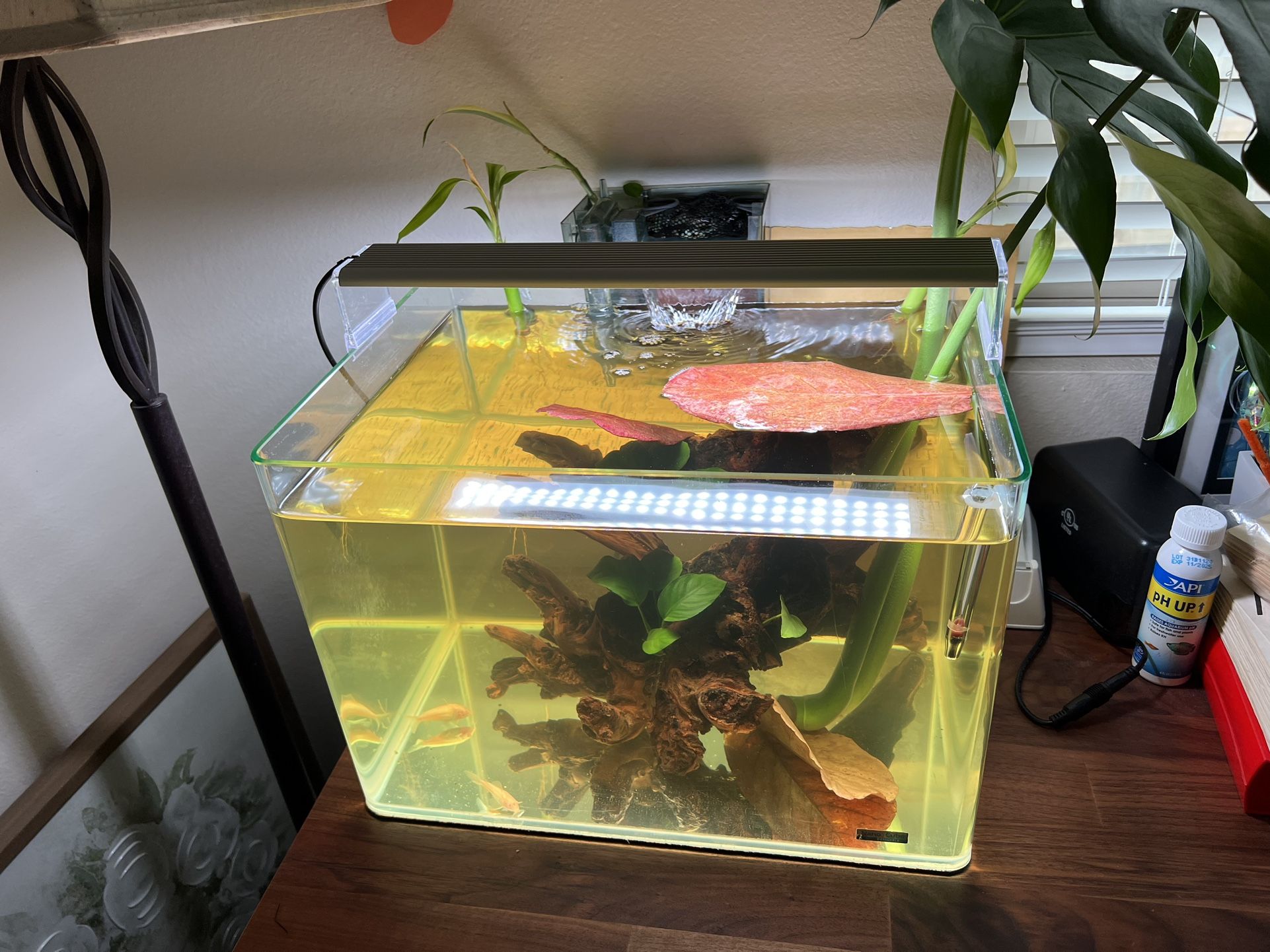 Fish Tank And Light