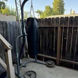 Punching Bag and Stand